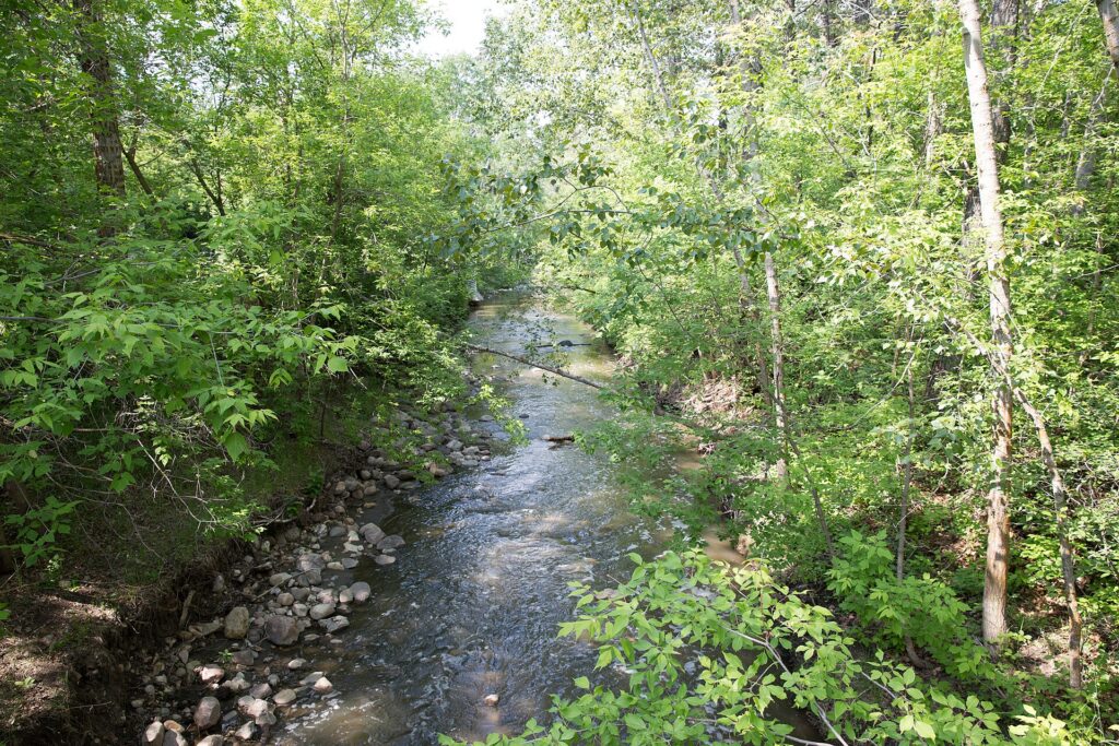 A multi-use trail through Edmonton's river valley parks
