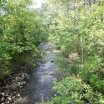 A multi-use trail through Edmonton's river valley parks